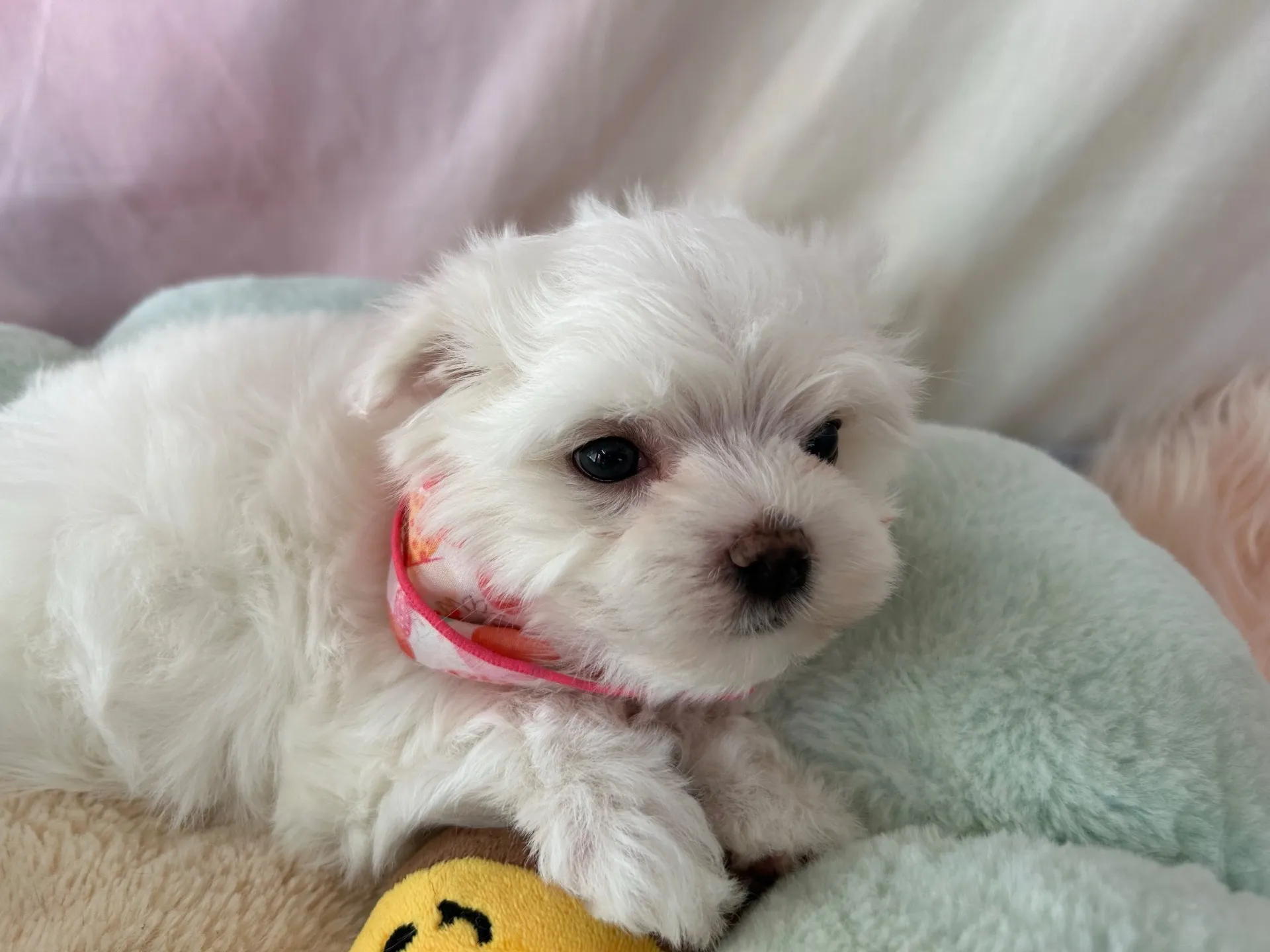 ぜひ見学にお越しください！