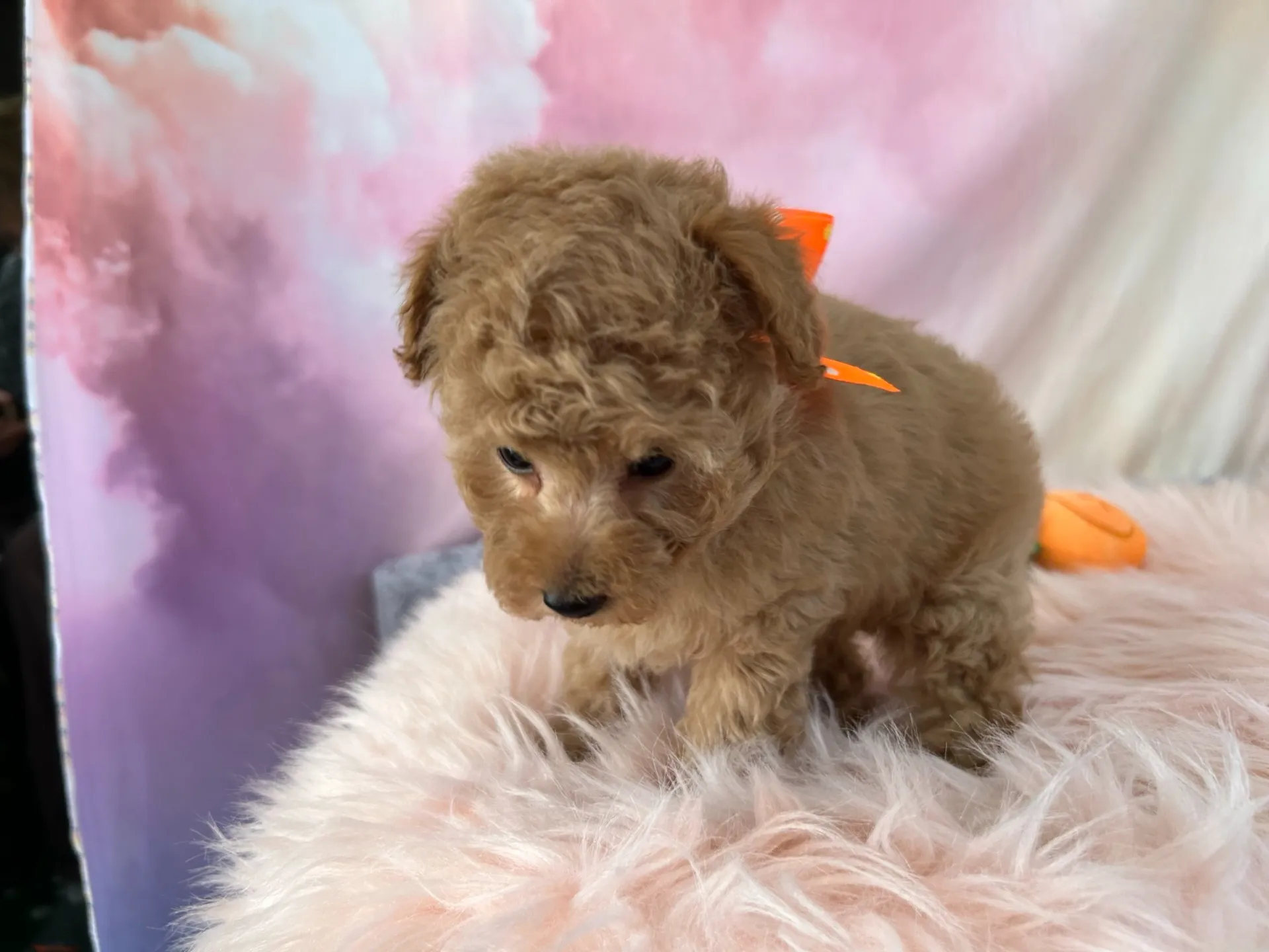 ぜひ見学にお越しください！