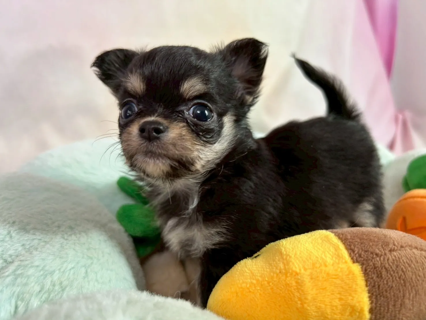 あざと可愛いでしょうか♡