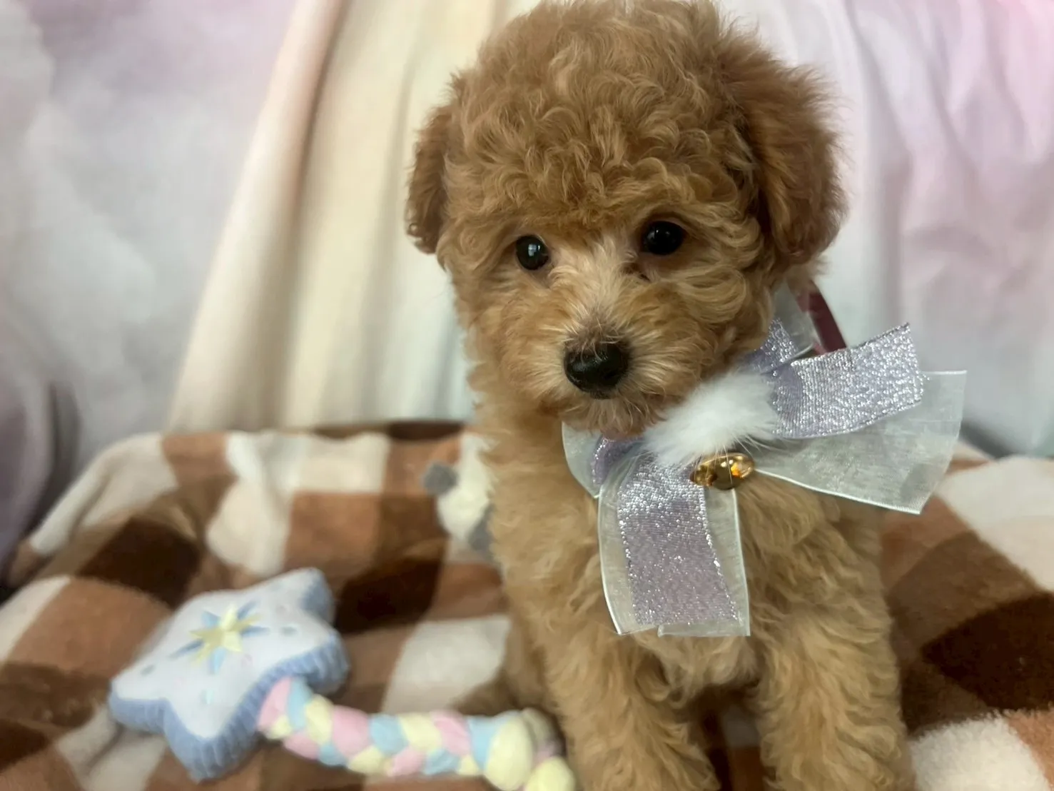 よく食べよく寝ます！