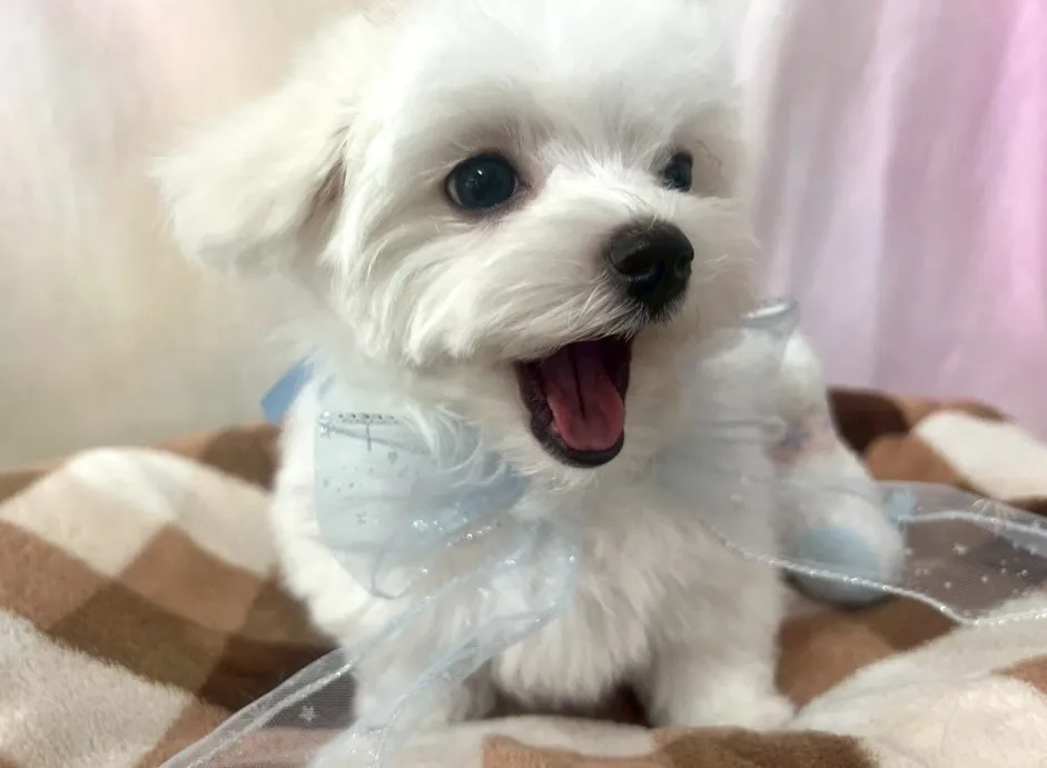 こんばんは♪25/2/8生まれ