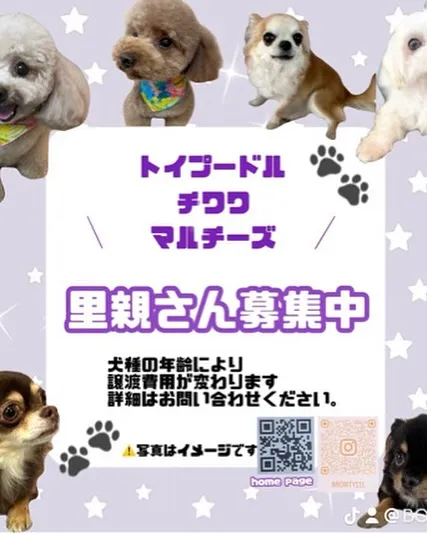 里親様募集中です♡