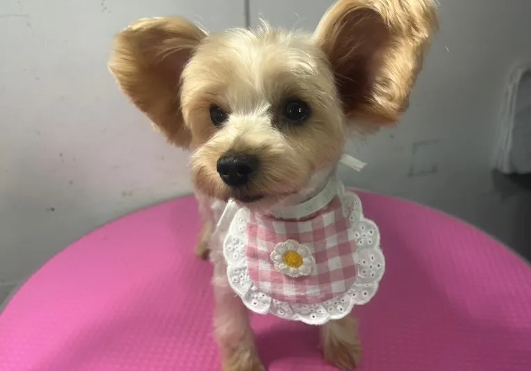 こんばんは♪