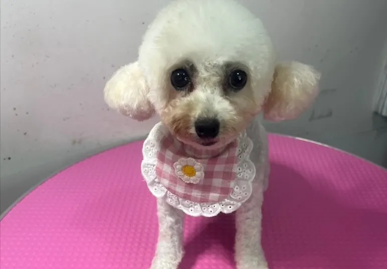 こんばんは♪