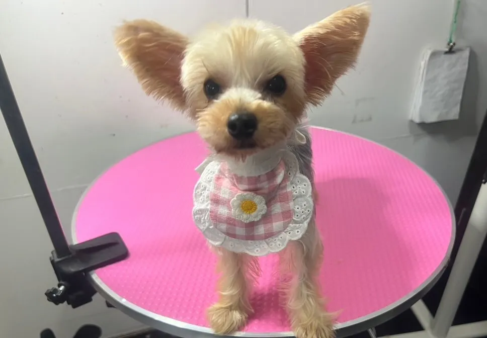 こんばんは♪