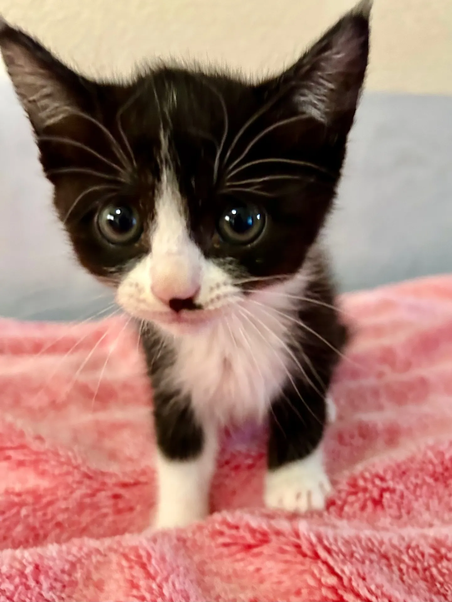 🐾幸せなご縁に感謝🐾