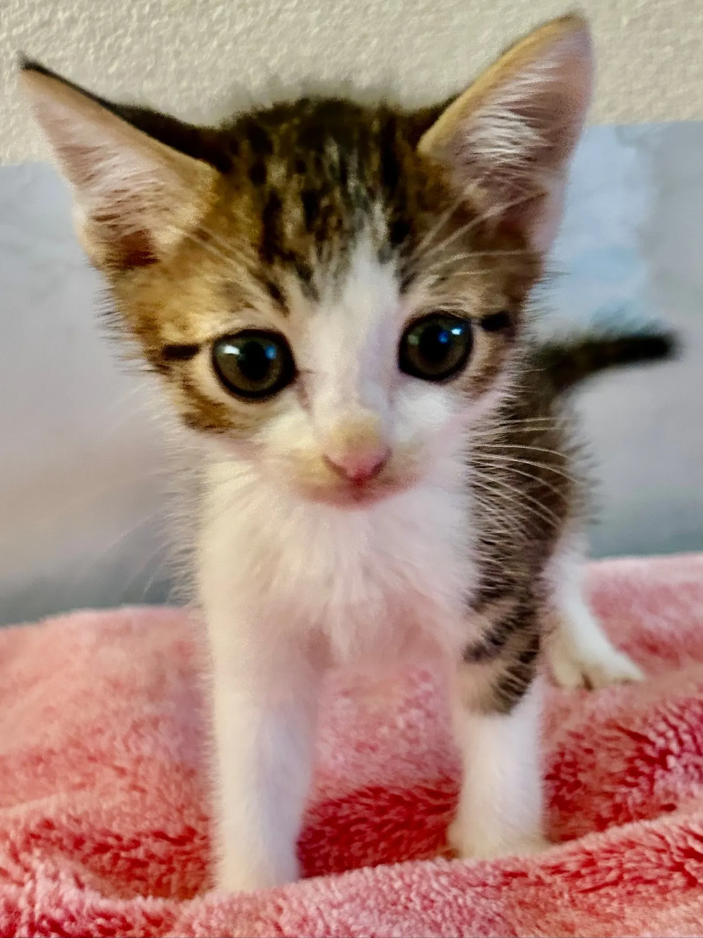 🐾幸せなご縁に感謝🐾