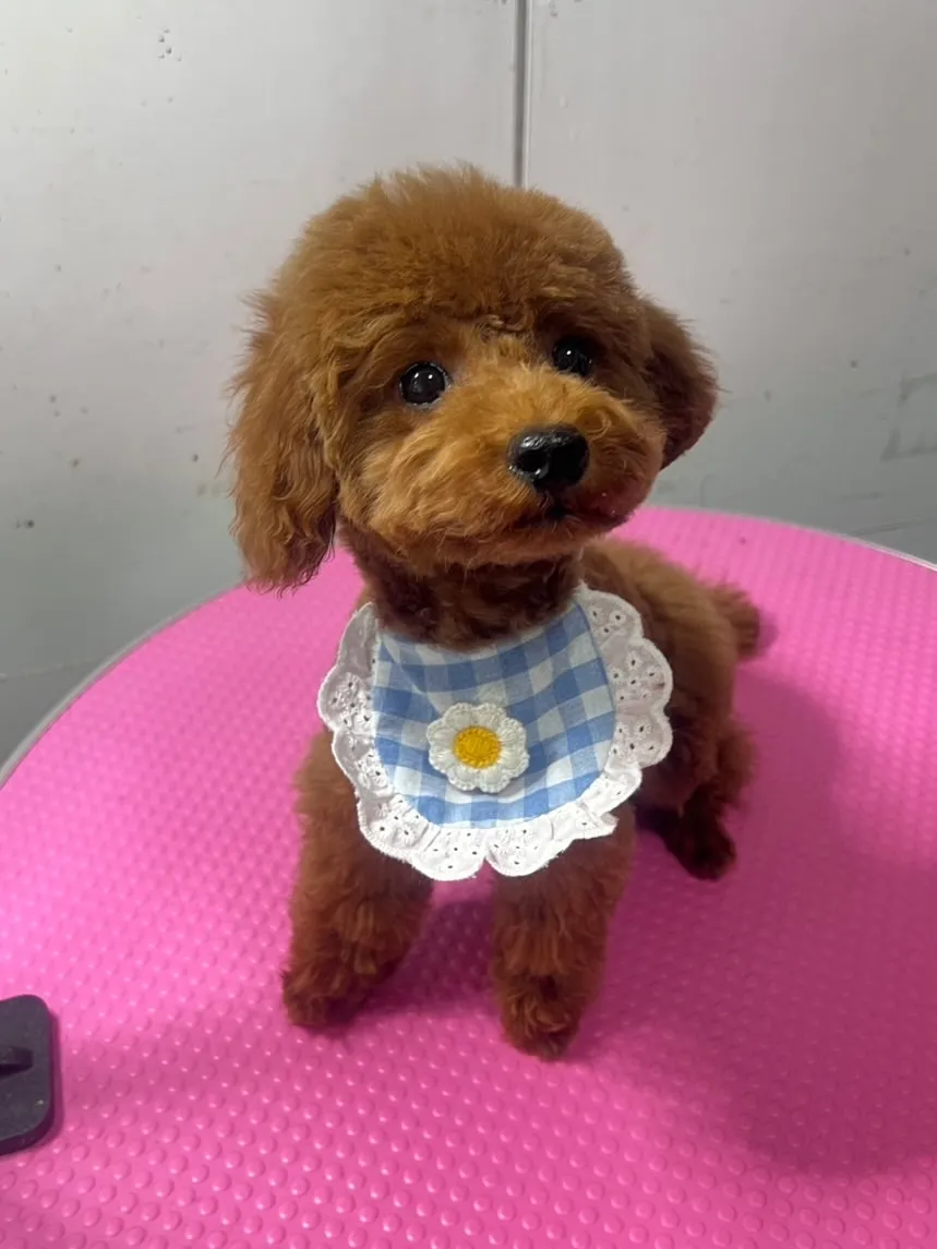 こんばんは♪
