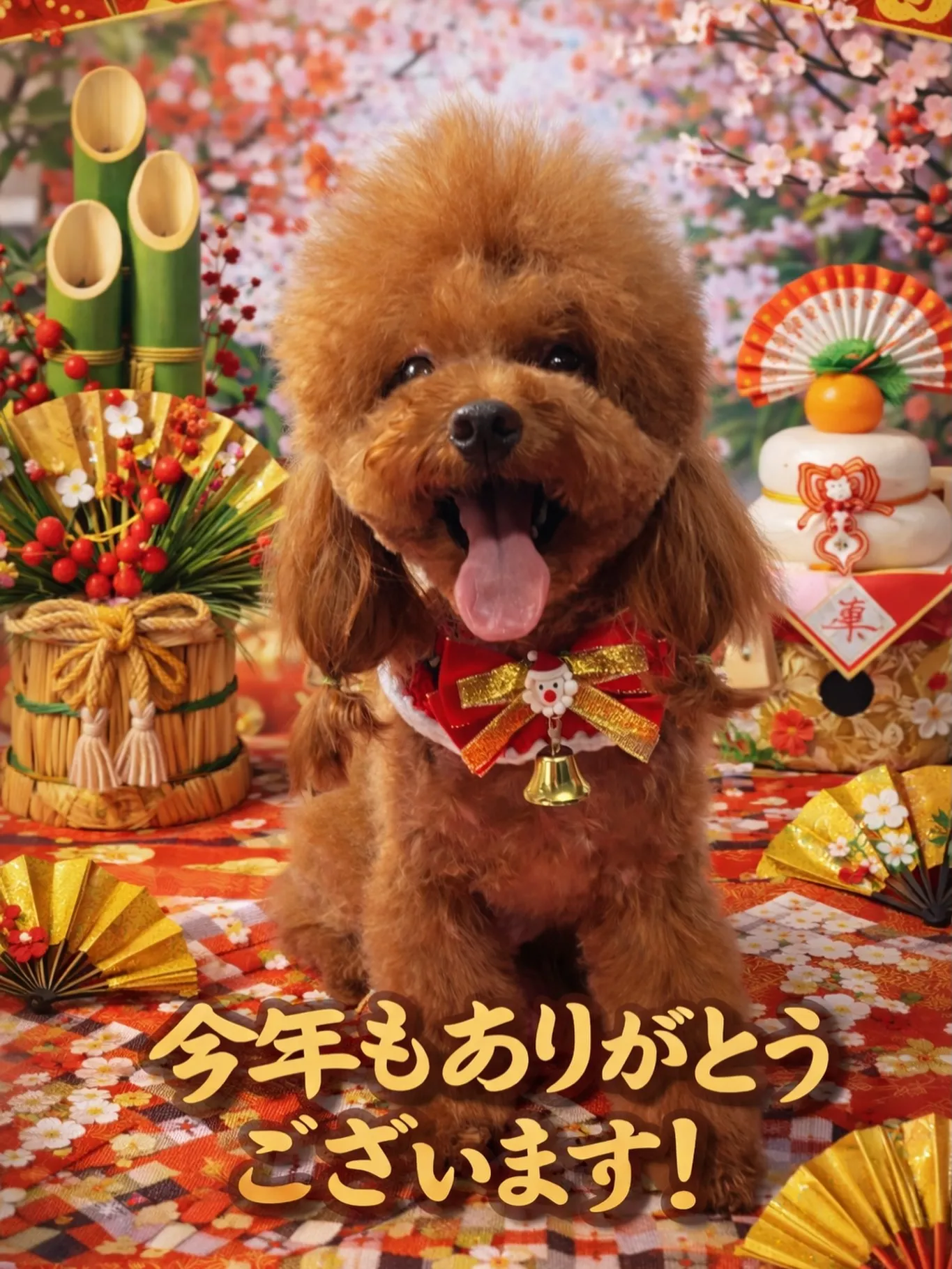 🎍✨ 今年もありがとうございました ✨🎍