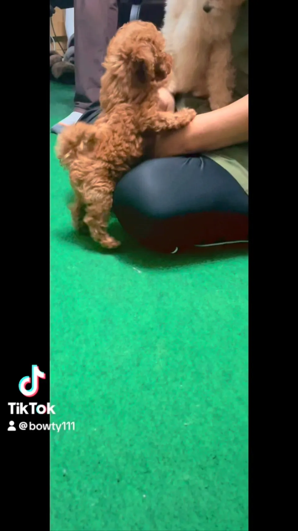 梅雨入りですね☂️